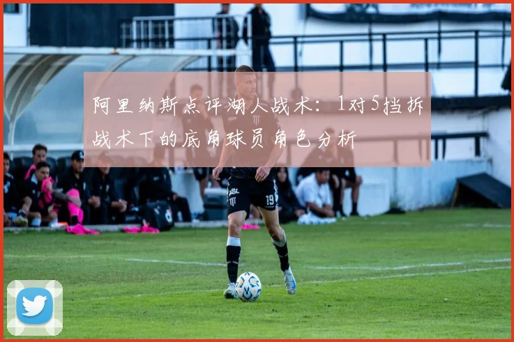 阿里纳斯点评湖人战术：1对5挡拆战术下的底角球员角色分析